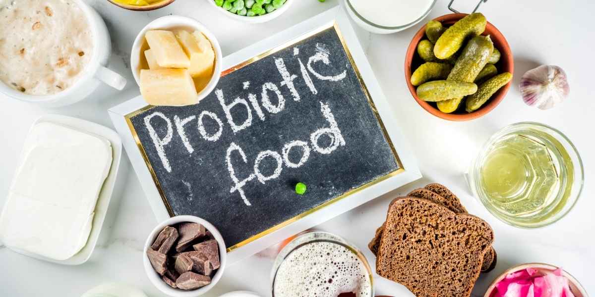 Comprendre la candidose et choisir le bon probiotique candidose pour un équilibre durable
