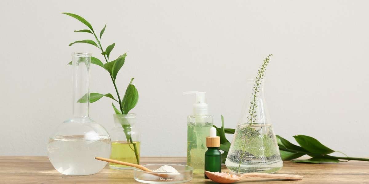 Plantes contre candidose : lesquelles choisir pour un résultat rapide ?