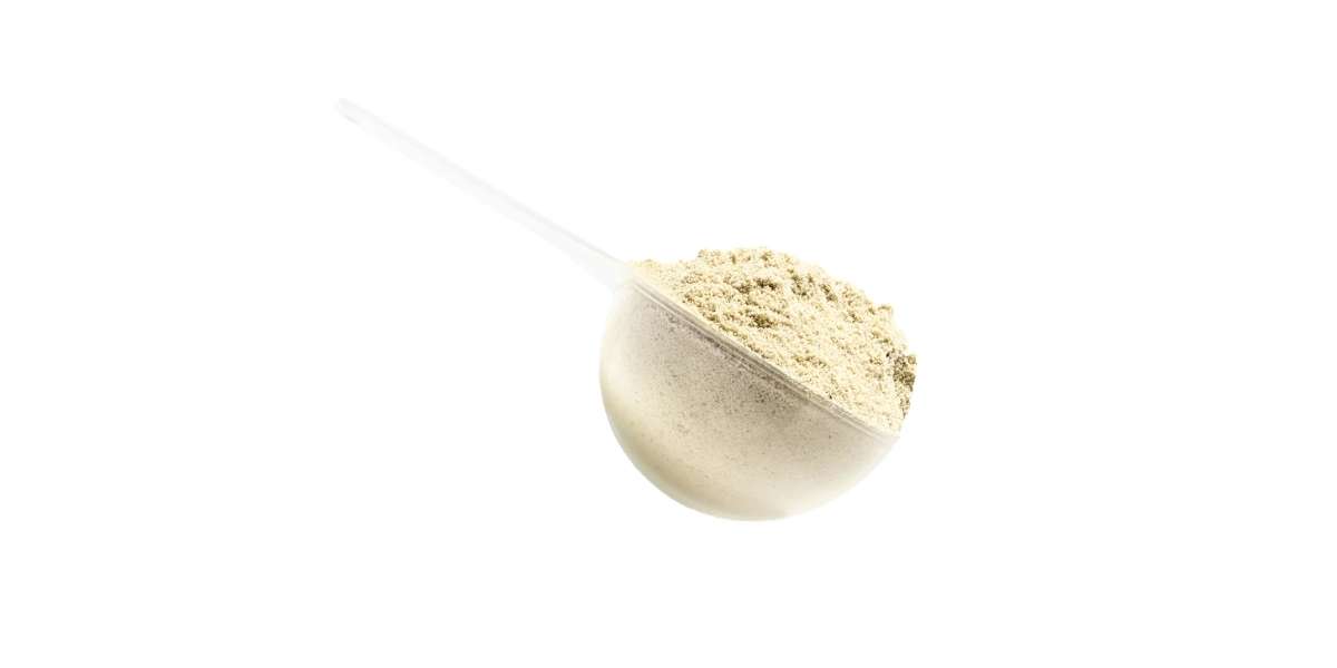 le probiotique candidose